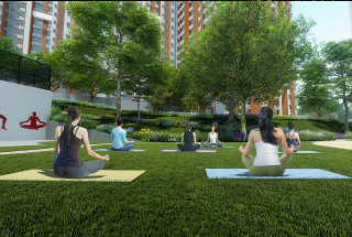 Yoga Lawn